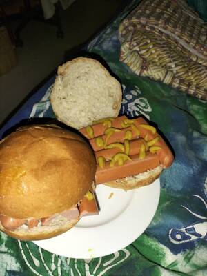 Mountain Dew Lunch Sandwich Porn - Didn't have hotdog buns i had to make do... : r/shittyfoodporn