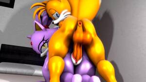 Blaze The Cat Anal Porn - Sonic (series) Blaze The Cat Anus 3d - Lewd.ninja