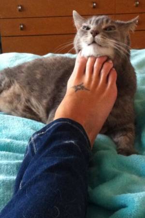 Brenda James Feet Porn - 1342217