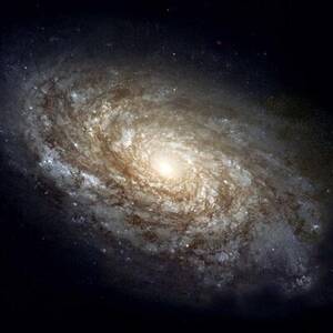 Girl Girls Do Porn E184 - Ipsofacto18 on X: \