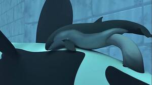 3d Fish Porn - Orca yiff - tasuric №3 - XAnimu.com