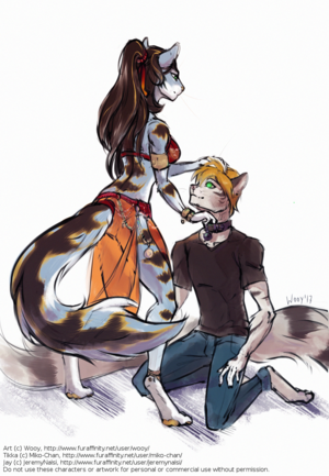 Cat Furry Porn Femdom - Cat Furry Femdom | BDSM Fetish