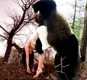 Ape Bangs Girl Porn - A little old lady with a half man/half ape and.....wait.....what is that  peeking out from his fur??