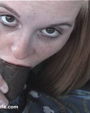 amateur interracial cock sucking - Amateur interracial dick sucking in the car Porn Pictures, XXX Photos, Sex  Images #3408780 - PICTOA