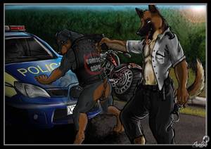 Car Furry Porn - e621 2009 abs anthro anus arrest backsack balls biker bottomless bulge  canine car clothed clothing debate_fuel