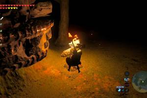 Kokiri Forest Porn - Zelda: Breath of the Wild guide: Ketoh Wawai shrine location, treasure and  puzzle solutions