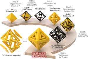 hot tempered japanese rim - Three-dimensional nanoframes with dual rims as nanoprobes for biosensing |  Nature Communications