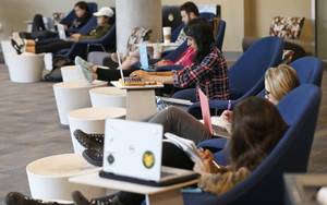 Candy Spelling Fake Porn - Students working on laptops