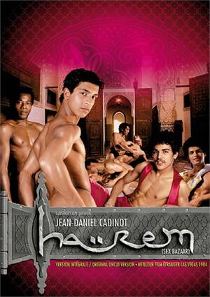 French Art Gay Porn - Harem | Cadinot / French Art Gay Porn Movies @ Gay DVD Empire