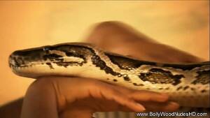 Indian Snake Dance Porn - Indian Erotic dance with snake - XNXX.COM