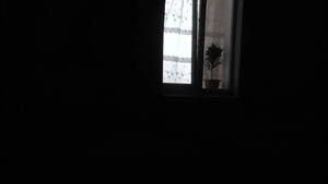 amateur homemade voyeur bedroom window - Voyeur. Peeping through windows. Outdoors random passerby looking into  bedroom and filming naked Milf - XNXX.COM