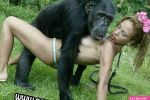 Girl Monkey Porn - Girl fucks monkey - XxxJay