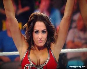 Bella Twins Have Sex Porn - 