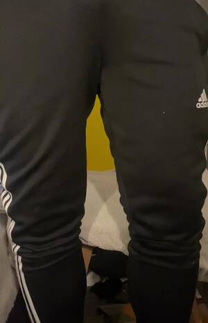 Adidas Joggers Porn - Wetting in adidas sweatpants - ThisVid.com