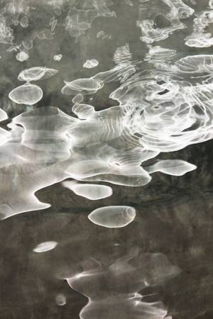 Aria Alexander Dpchallenge Porn - liquid modernity 2 - water movement