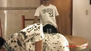 Latina Mask Porn - Sexy Latina milf gets doggied by masked stud - Pornjam.com