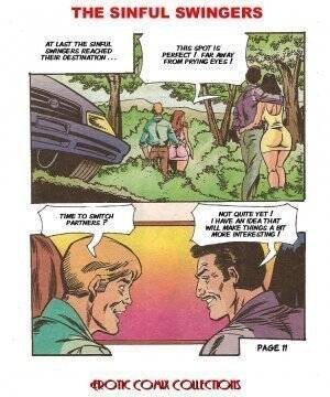 Cartoon Swinger Porn - Swinger Connection 18 â€“ Erotic Comix - anal porn comics | Eggporncomics