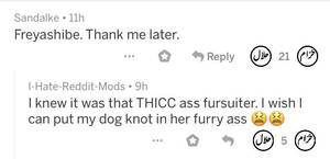 Funny Arab Porn - Was going through Arab funny and found a video that had mursuit porn in it.  Scrolled down to find this. I also hate myself for recognizing the video. :  r/yiffinhell