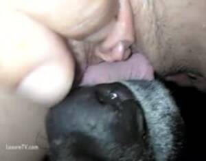 Girl Bestiality Porn - Bestiality girl - Extreme Porn Video - LuxureTV