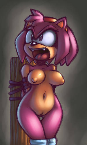 Amy Rose Bondage - Sonic Generals