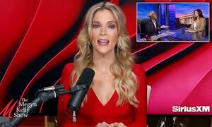 Megyn Kelly Anal Porn - Megyn Kelly obliterates MSNBC host Joy Reid for ripping into Moms for  Liberty co-founder wanting to ban book that features underage kids  discussing sex toys: 'If she wants to expose her kid to that stuff, she can  go right ahead' | Daily Mail Online