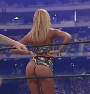 celebrity getting her ass spanked - Celebrity Butts: Stacy Keibler Getting Spanked - Porn GIF Video | nebyda.com