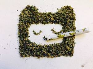 Art Sex Weed Porn - Tryna Toke The Marijuana Smoke?