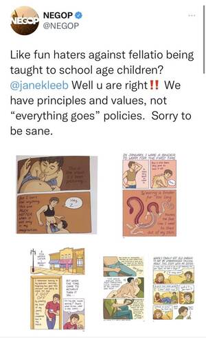 Nebraska School Porn - Nebraska GOP tweets porn and claims it's in Nebraska schools : r/Omaha