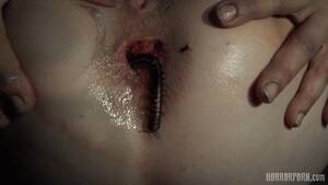 hard core anal toys - anal toy Â« Hardcore Extreme â€“ BDSM & Fetish Porn