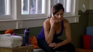 Brink Porn - Carla Gugino â€“ The Brink s01e02-03 (2015) HDTV 1080p