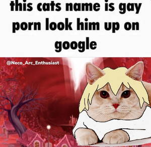 Gay Porn Cat - This Bunny's Name Is Gay P--- | His Name Is X, Look Him Up | Know Your Meme