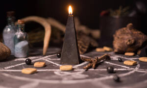 black porn star michael - The Porn Star â€“ Michael W Lucas