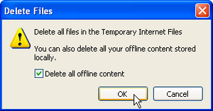 Erase Porn - Get Rid of Porn - Delete Computer History