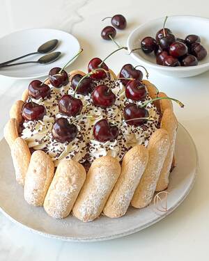 Angelina Jolie Anal Cock Riding - Charlotte faÃ§on forÃªt noire - Mes DÃ©licieuses CrÃ©ations