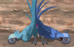 Jewel Rio Furry Bird Porn - Options