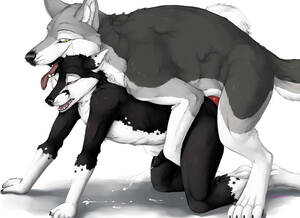 Furry Porn Male Orgasm - #371571: conditional_dnp, dog-bone - e621