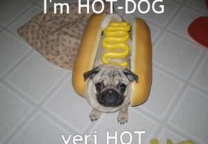 Mature Mother Porn - gold mom sex milf xxx clips hot mature pussy mother porn tube Przepisy, jak  zrobiÄ‡ - Smaker.pl