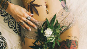 Art Sex Weed Porn - Weed Porn: How Two Taboos Became Popular Bedfellows