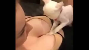 Cat Sex - Cats - xxx Videos Porno MÃ³viles & PelÃ­culas - iPornTV.Net
