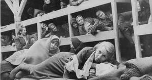 Nazi Female Experiments Porn - Sexual Violence in the Holocaust | Heinrich BÃ¶ll Stiftung