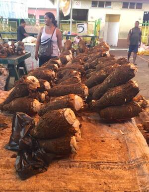 25 free atk nudism - IMG_6449 | The Rigneys' Great Adventure