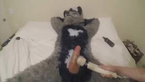 Furry Vibrator Porn - Furry: Murrsuit vibrator overload - ThisVid.com
