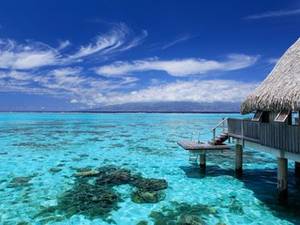 French Polynesia Porn - women getting naked video 1/black woman porn movies 6