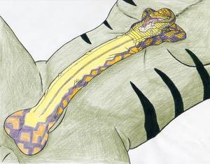 Anthro Snake Porn - e621 balls cock_naga cock_transformation cum cum_from_mouth cum_in_mouth  cum_inside cum_vomit duo forked_tongue living_gasm_drive lol_comments  long_tongue ...