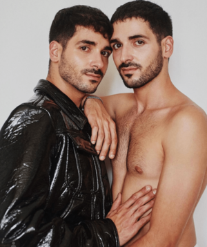 Gay Twins Gay Porn - Is Twin Content Sexual Freedom And A Turn-On? Or Lewd And Incestuous? â€¢  Instinct Magazine