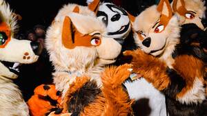 Animal Furry Costume Porn - Furries: Will Misunderstood Subculture Ever Go Mainstream?