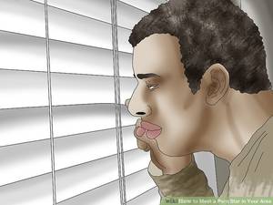 Big Ear Porn Stars - Image titled Meet a Porn Star in Your Area Step 17