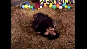 big foot fuckers - bigfoot - XVIDEOS.COM