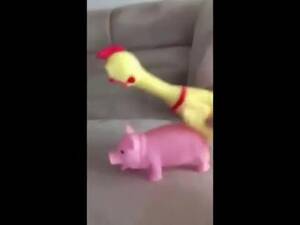 Funny Porn Toys - Toys Porn (Funny) - YouTube