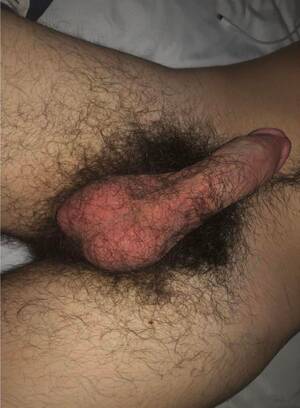 huge hairy soft cock - Soft cock with lots of pubes - Hairy Dick Pics